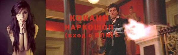 прущие грибы Абдулино