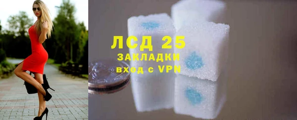 прущие грибы Абдулино